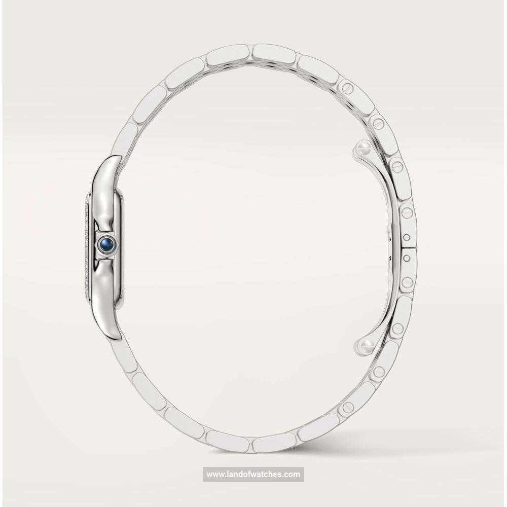 شراء ساعة معصم کارتیر(CARTIER) CRW4PN0013 | | | الأصلي