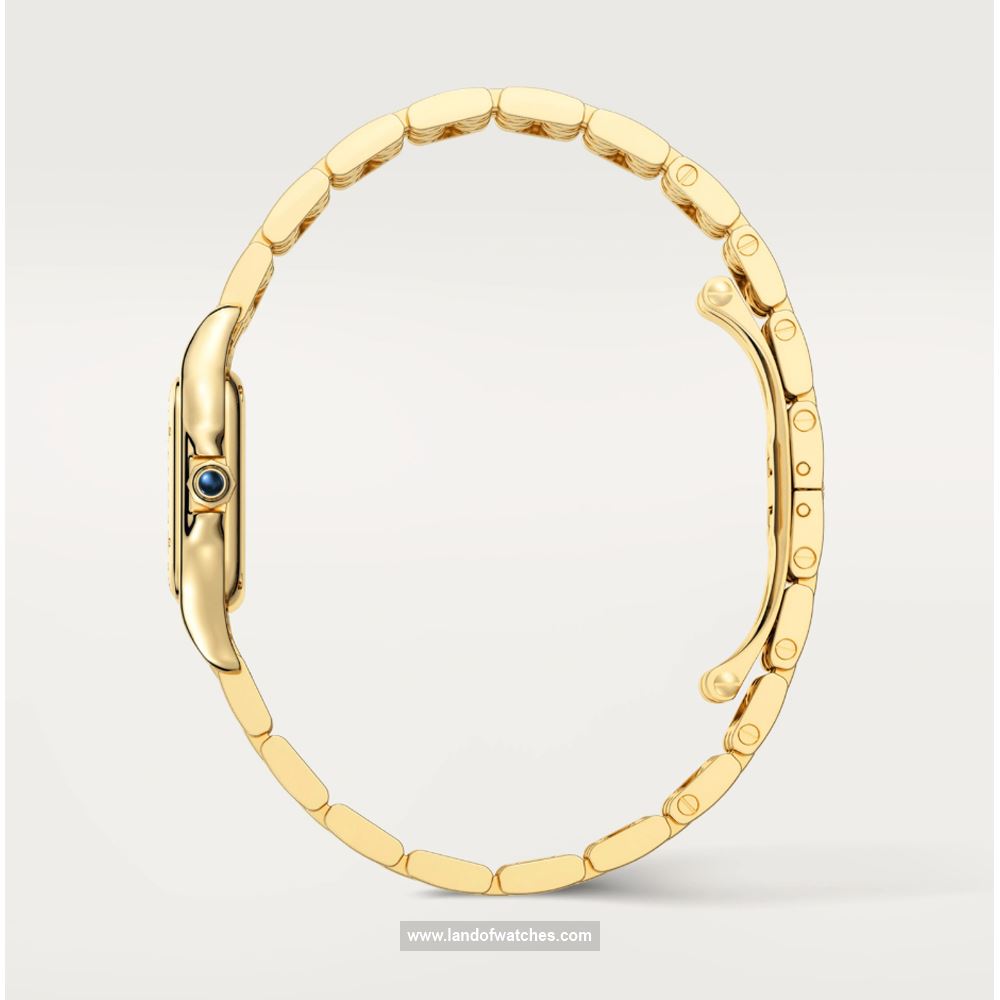 شراء ساعة معصم کارتیر(CARTIER) CRWGPN0031 | | | الأصلي