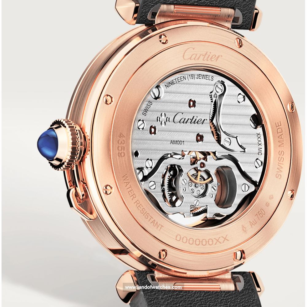 Buy CARTIER CRWHPA0010 Watches | Original