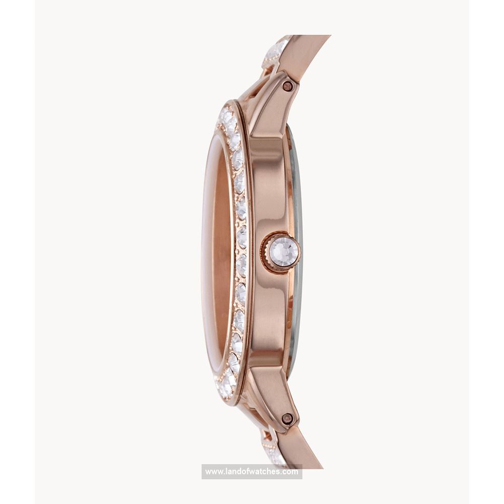 شراء ساعة معصم نسائیه فسیل(FOSSIL) ES3020 موضه | | | الأصلي