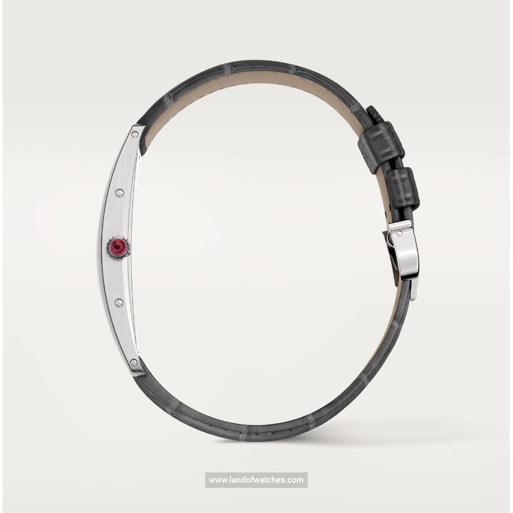 شراء ساعة معصم کارتیر(CARTIER) CRWGTA0027 | | | الأصلي