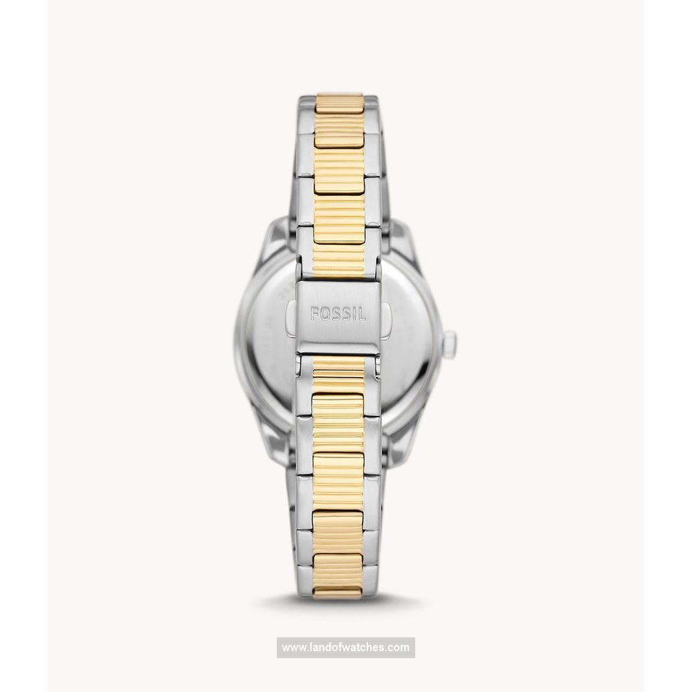 شراء ساعة معصم نسائیه فسیل(FOSSIL) ES5198 كلاسيك | | | الأصلي