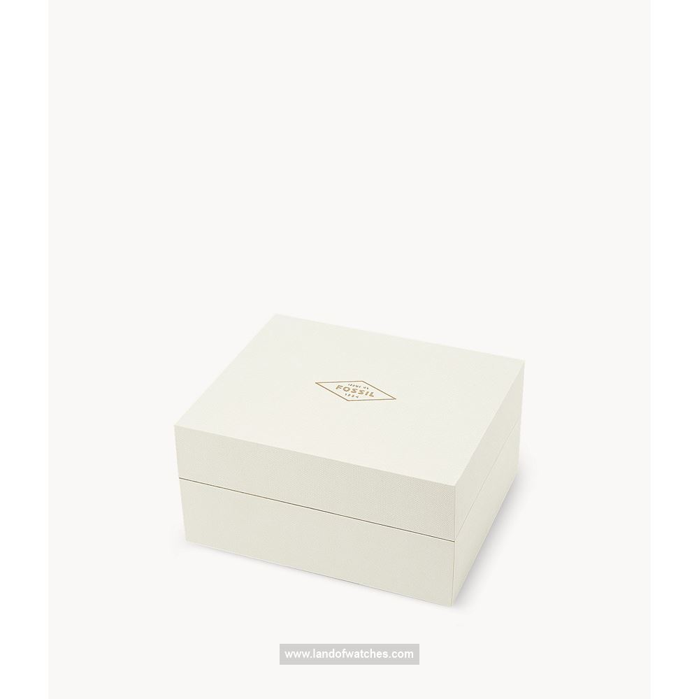 شراء ساعة معصم رجالیه فسیل(FOSSIL) FS5251SET كلاسيك | | | الأصلي