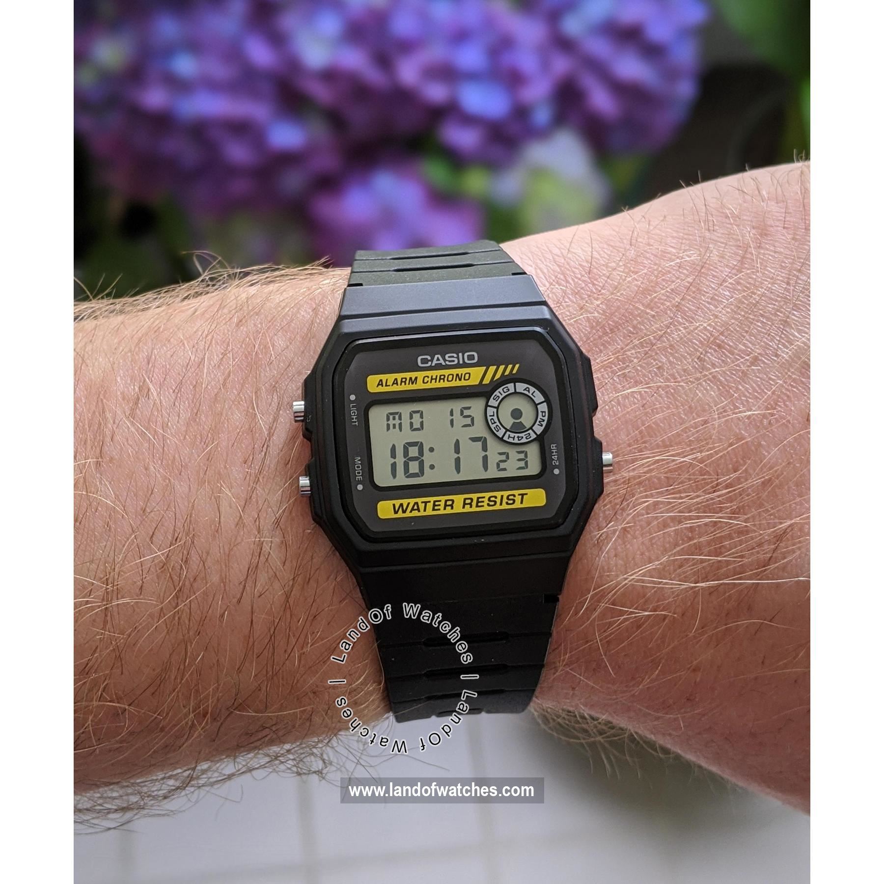 Buy Men's CASIO F-94WA-9DG Watches | Original