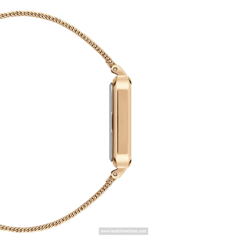 Buy DANIEL WELLINGTON DW00100556 Watches | Original