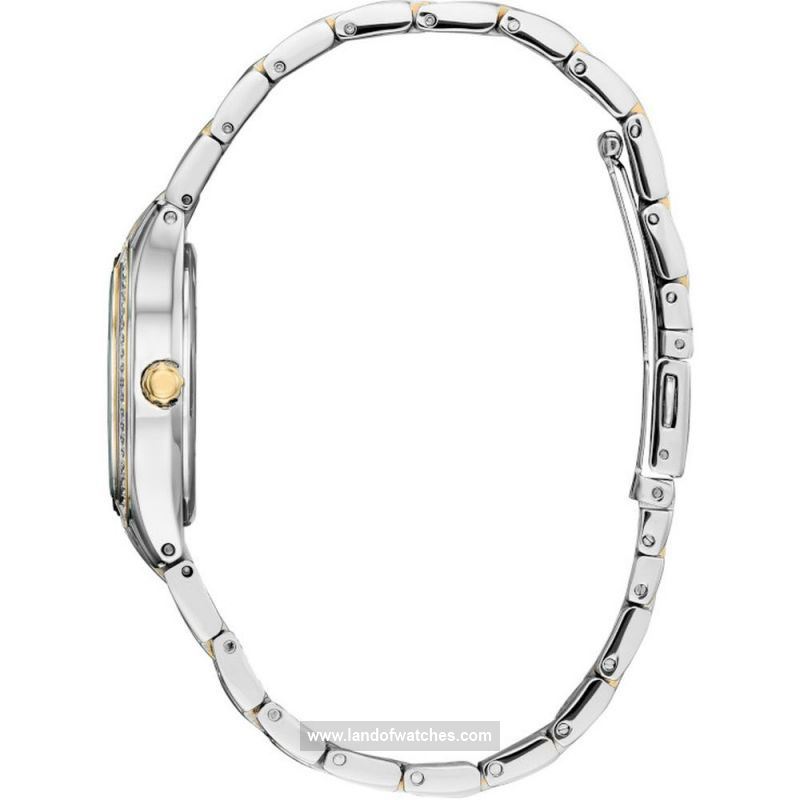 Buy Women's CITIZEN FE1234-50D Fashion Watches | Original