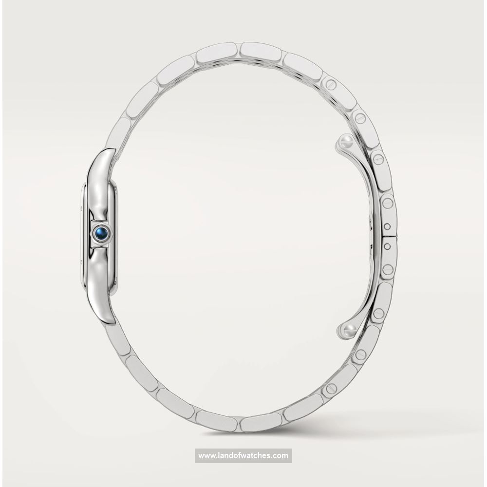 شراء ساعة معصم کارتیر(CARTIER) CRWSPN0010 | | | الأصلي