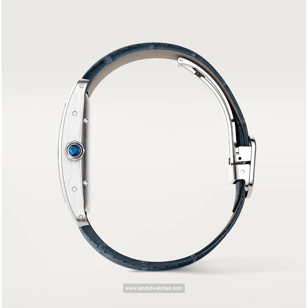 شراء ساعة معصم کارتیر(CARTIER) CRWSTA0018 | | | الأصلي