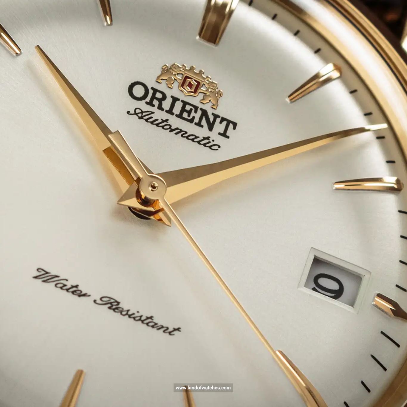 Buy Men's ORIENT RA-AC0M01 Classic Watches | Original