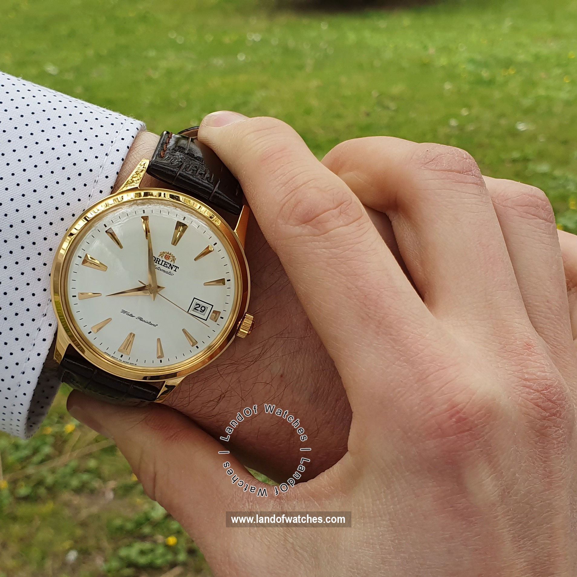 شراء ساعة معصم رجالیه اورینت(ORIENT) TAC00003W0 كلاسيك | | | الأصلي