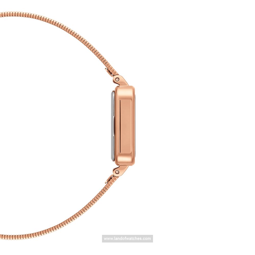 Buy Women's DANIEL WELLINGTON DW00100518 Classic Watches | Original