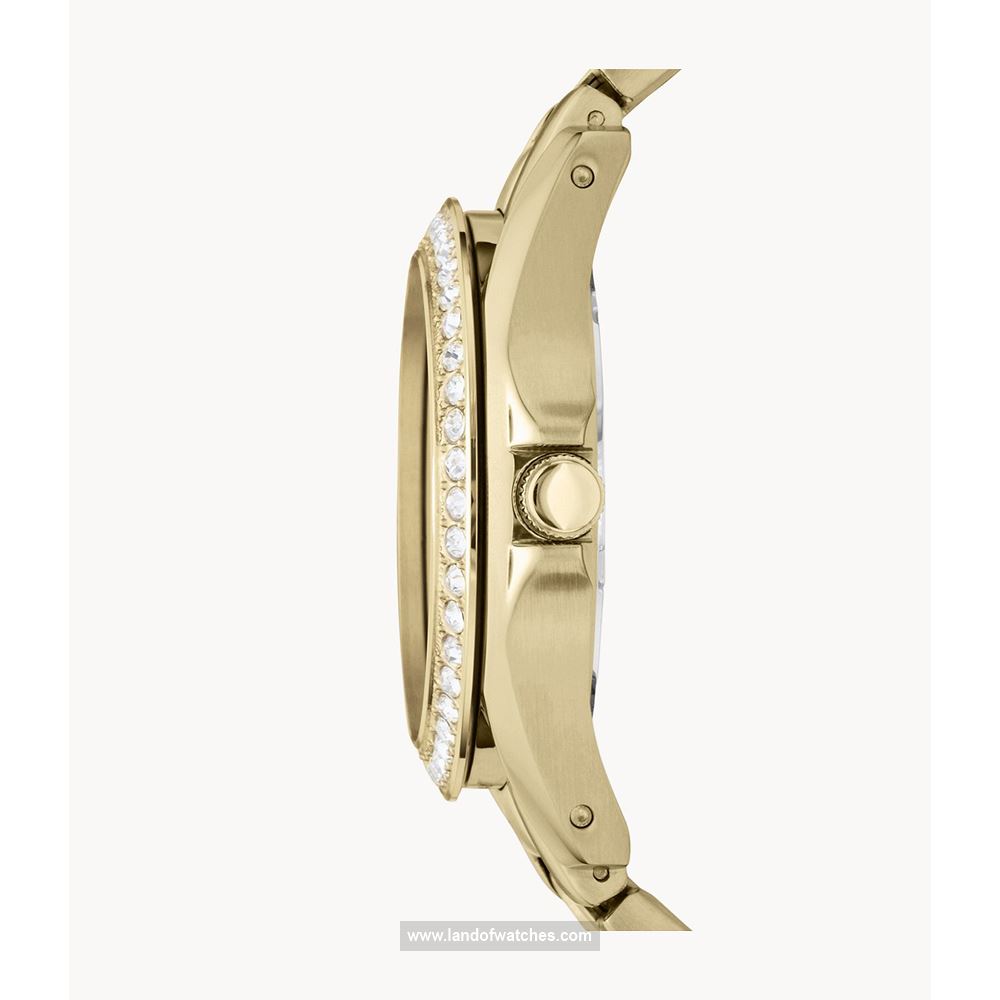 Buy Women's FOSSIL ES3203 Classic Fashion Watches | Original