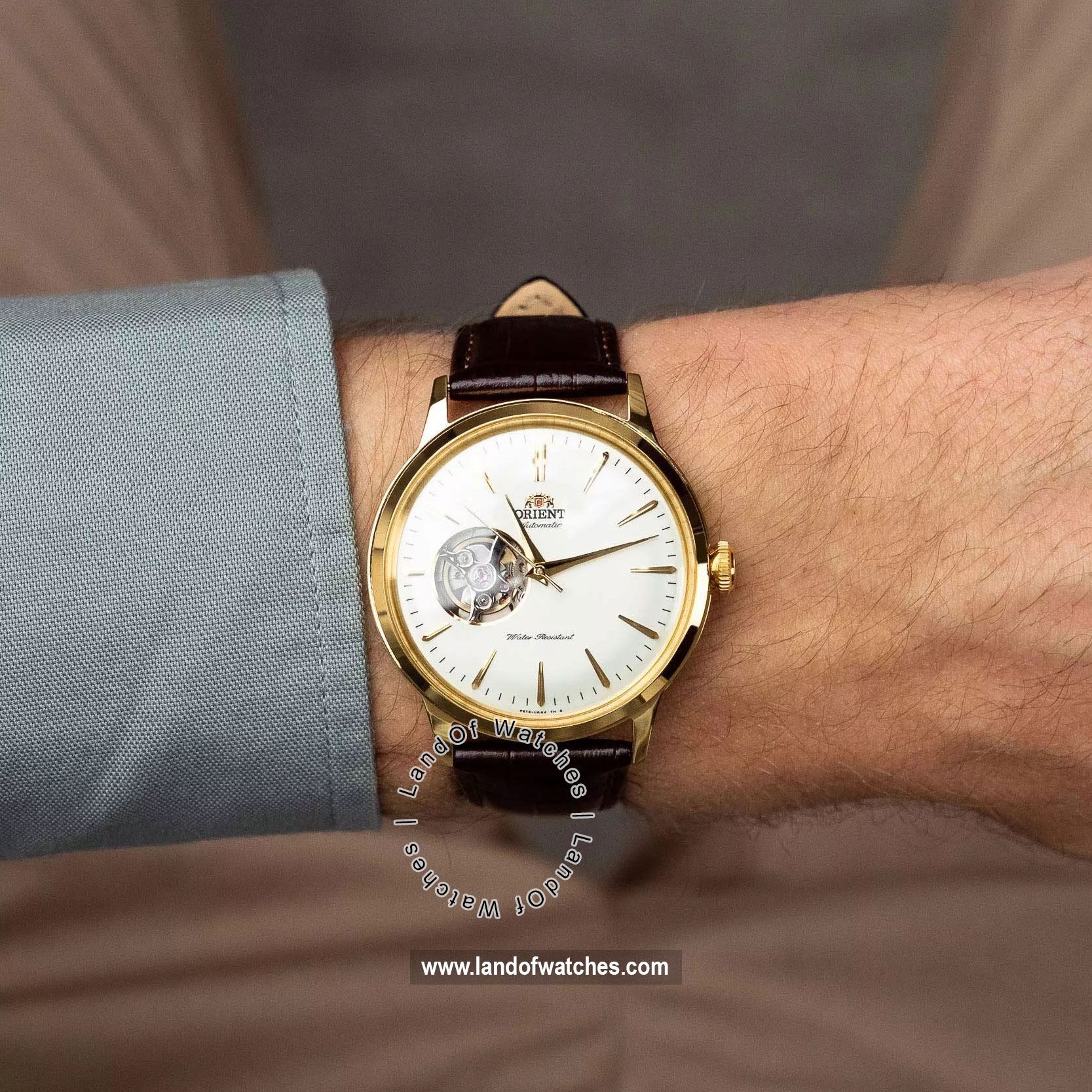 Buy Men's ORIENT RA-AG0003S30B Classic Watches | Original