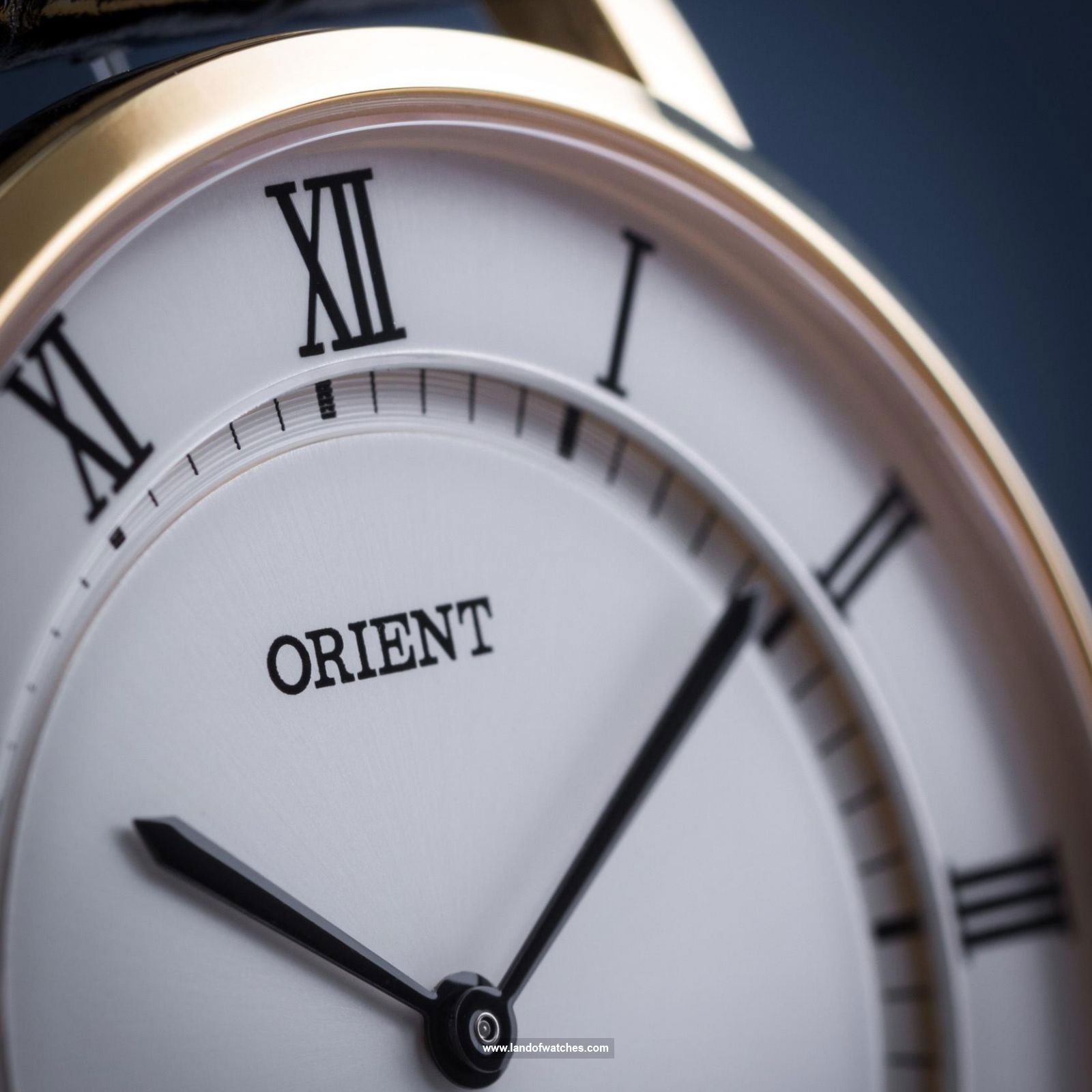 Buy Men's ORIENT FGW0100FW0 Classic Watches | Original