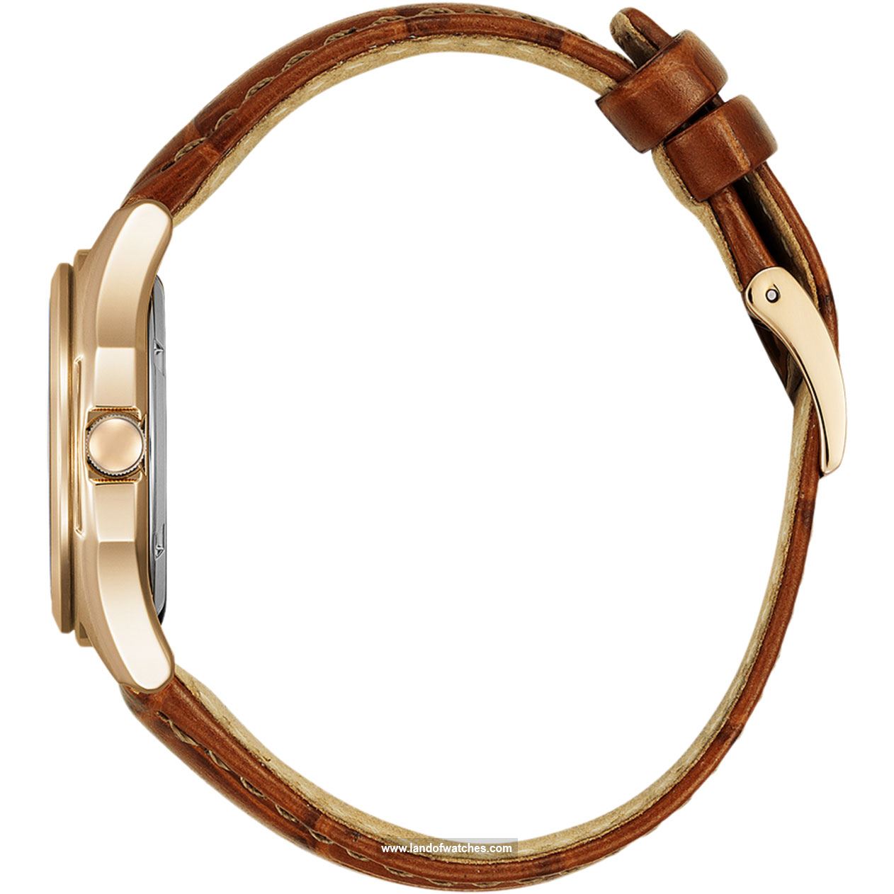 شراء ساعة معصم نسائیه سیتیزن(CITIZEN) FE2113-16X كلاسيك | | | الأصلي