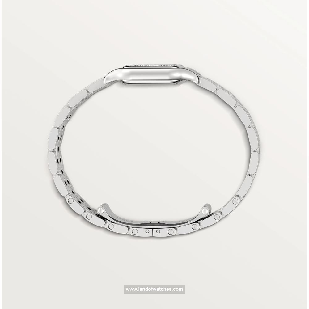 شراء ساعة معصم کارتیر(CARTIER) CRW4PN0007 | | | الأصلي