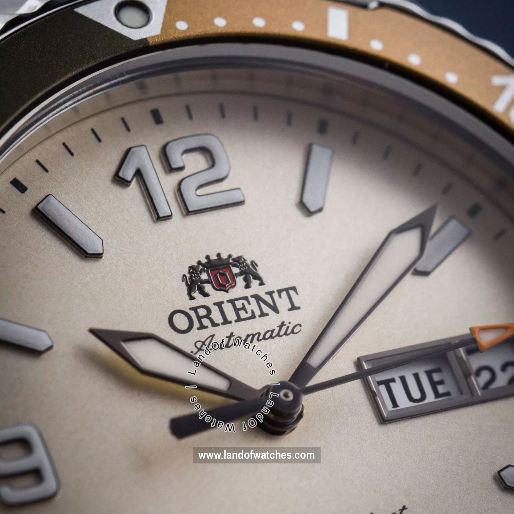 Buy Men's ORIENT RA-AA0821S19B Classic Watches | Original