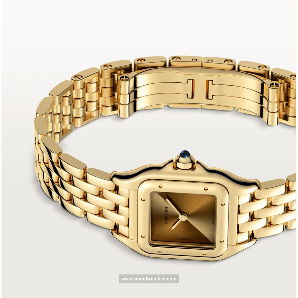 شراء ساعة معصم کارتیر(CARTIER) CRWGPN0031 | | | الأصلي