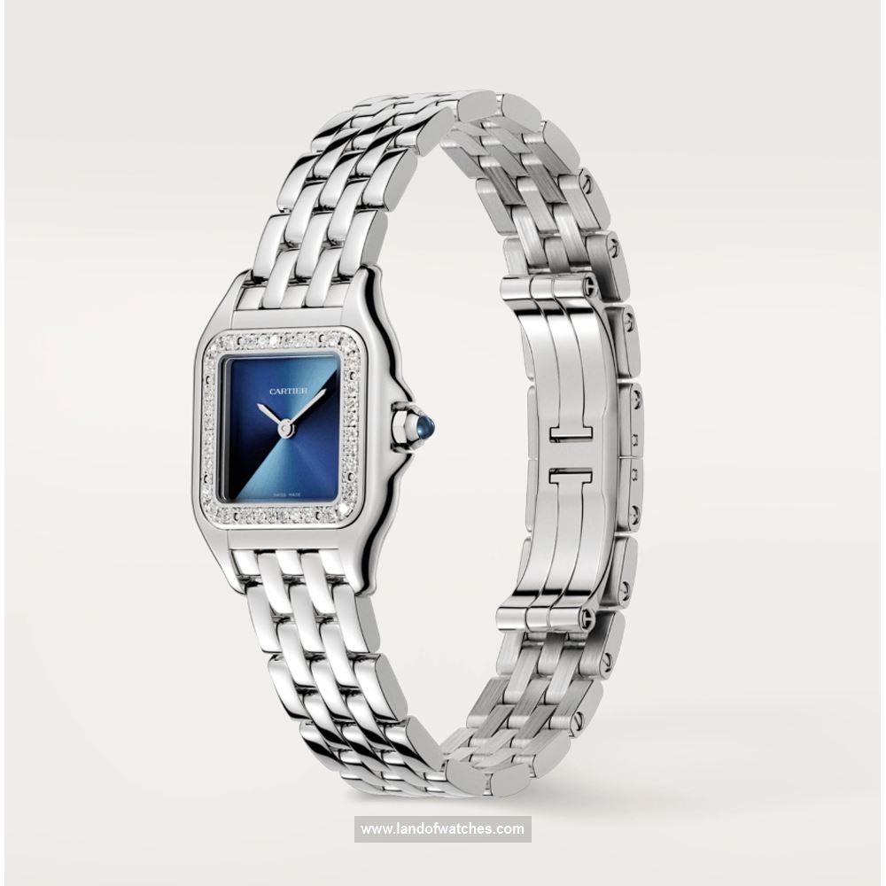 شراء ساعة معصم کارتیر(CARTIER) CRW4PN0013 | | | الأصلي