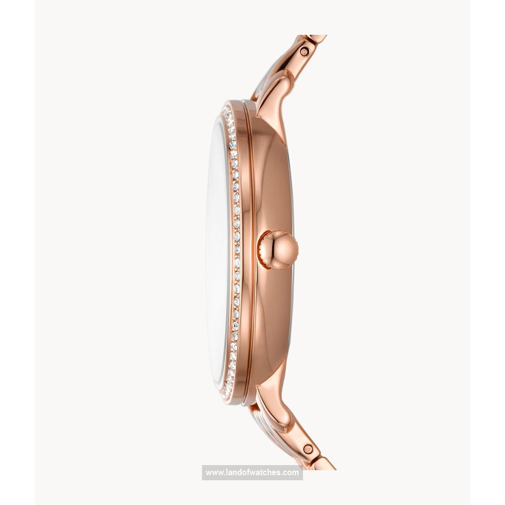 شراء ساعة معصم فسیل(FOSSIL) ES5165 | | | الأصلي