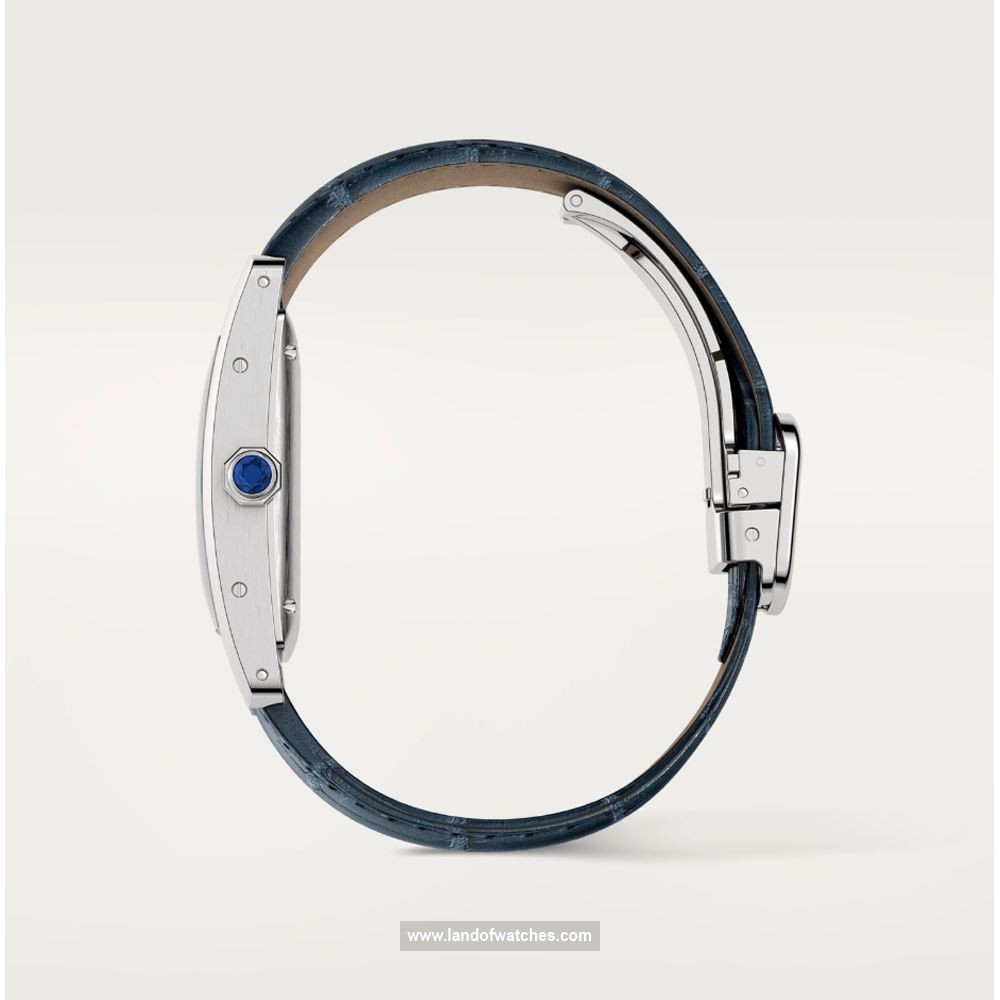 شراء ساعة معصم کارتیر(CARTIER) CRWSTA0017 | | | الأصلي