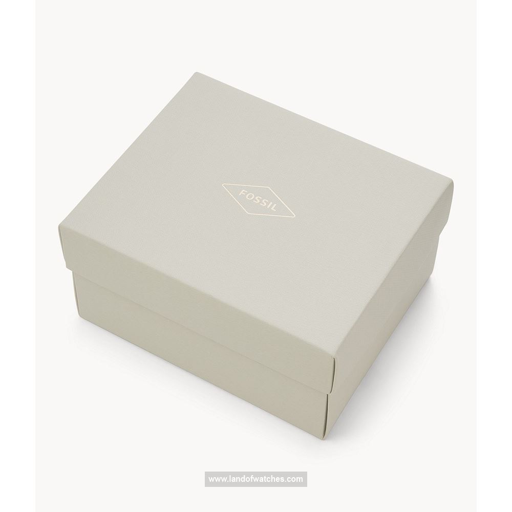 شراء ساعة معصم رجالیه فسیل(FOSSIL) FS5708SET كلاسيك | | | الأصلي