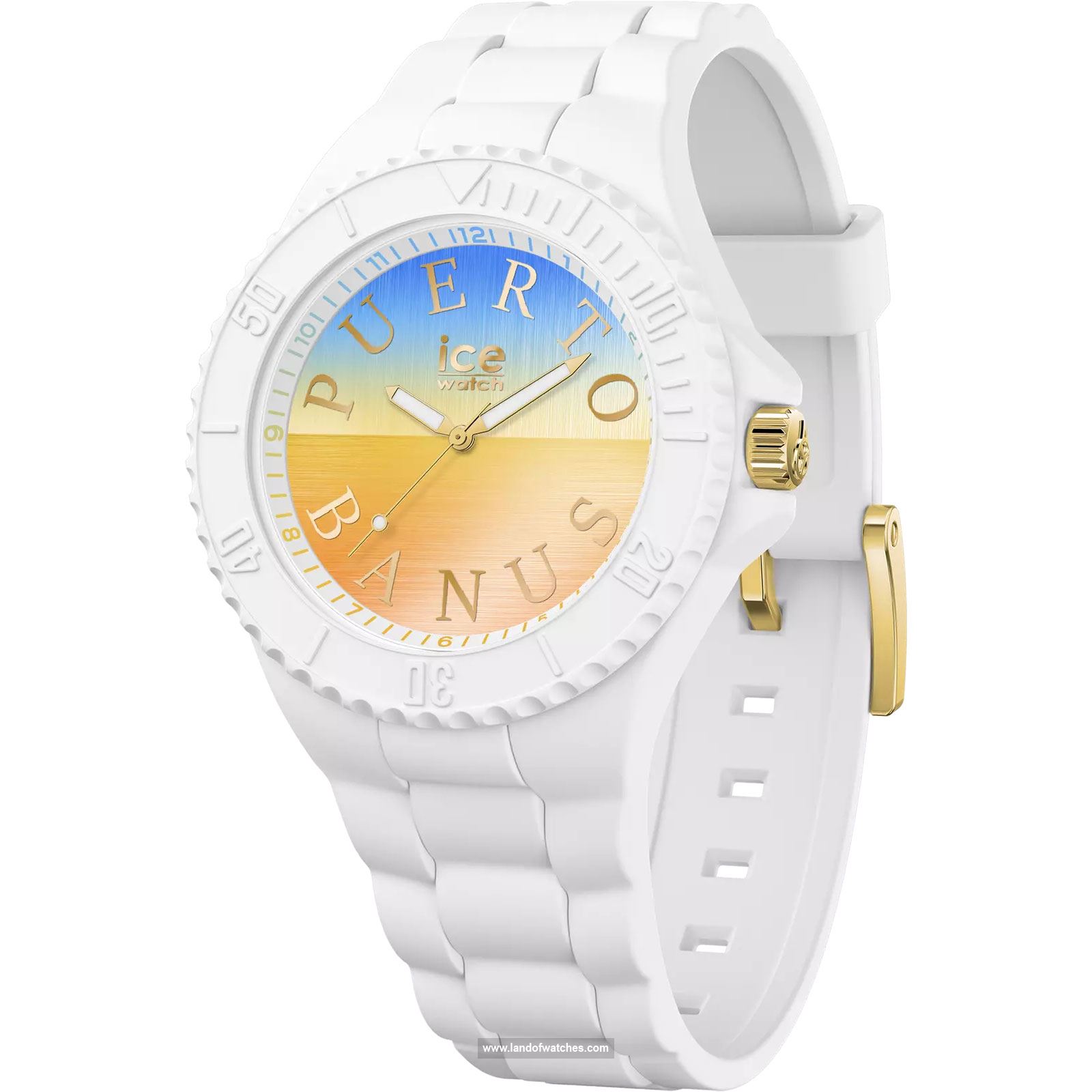 Buy Women's ICE WATCH 020000 Sport Watches | Original