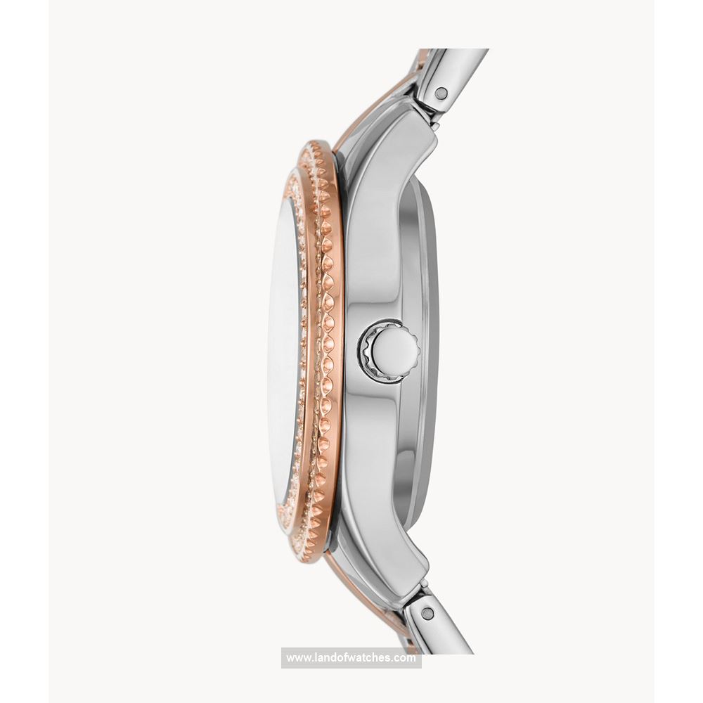 شراء ساعة معصم نسائیه فسیل(FOSSIL) ME3214 | | | الأصلي