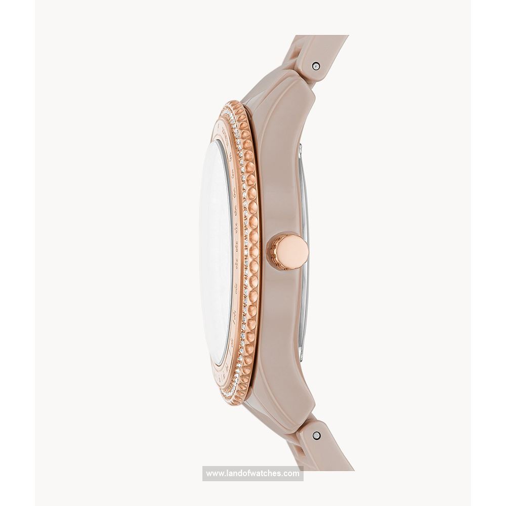 شراء ساعة معصم نسائیه فسیل(FOSSIL) CE1112 كلاسيك | | | الأصلي