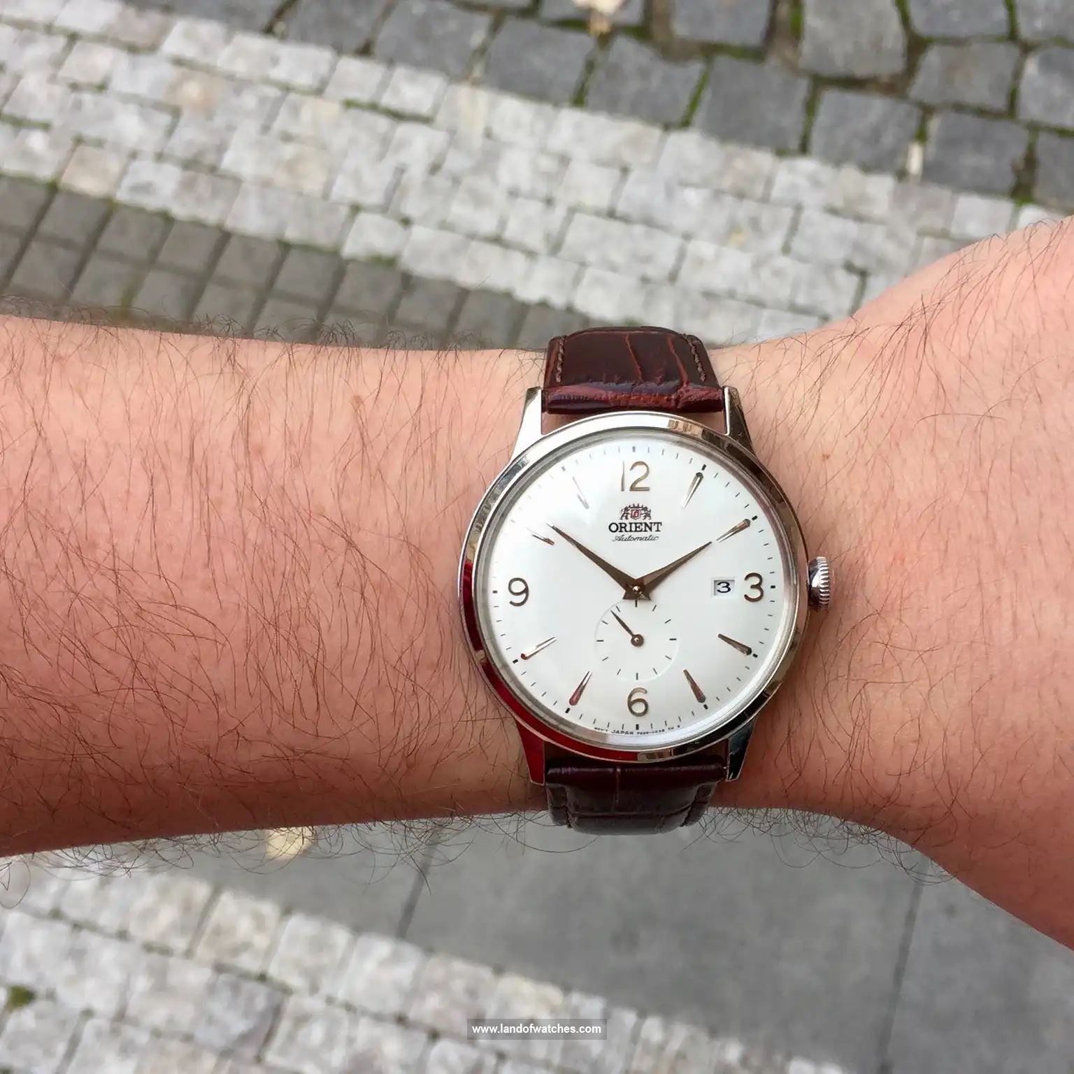Buy Men's ORIENT RA-AP0002S Classic Watches | Original