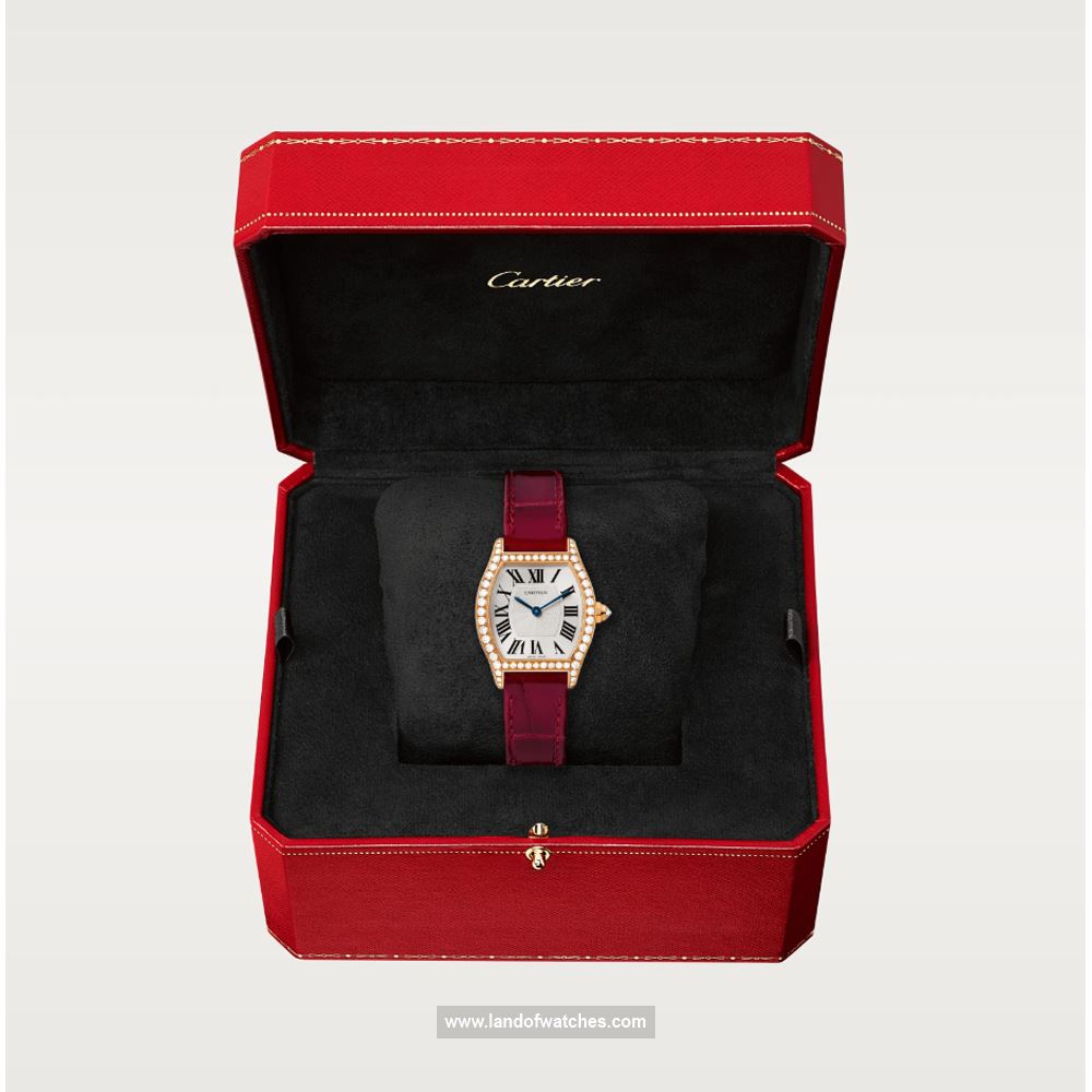 شراء ساعة معصم کارتیر(CARTIER) CRWA501006 | | | الأصلي