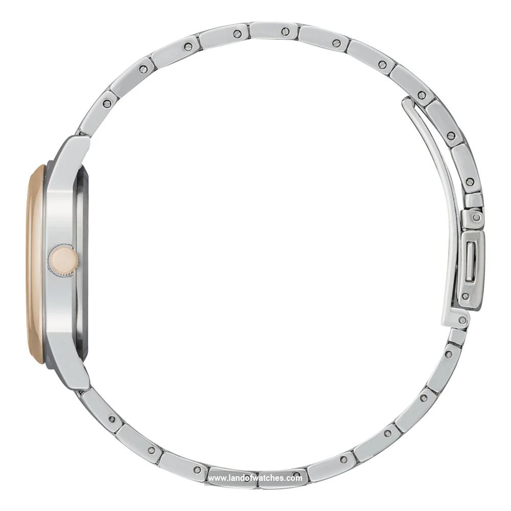 شراء ساعة معصم نسائیه سیتیزن(CITIZEN) FE1226-82A كلاسيك | | | الأصلي