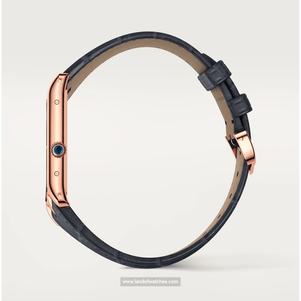 شراء ساعة معصم کارتیر(CARTIER) CRWGTA0043 | | | الأصلي