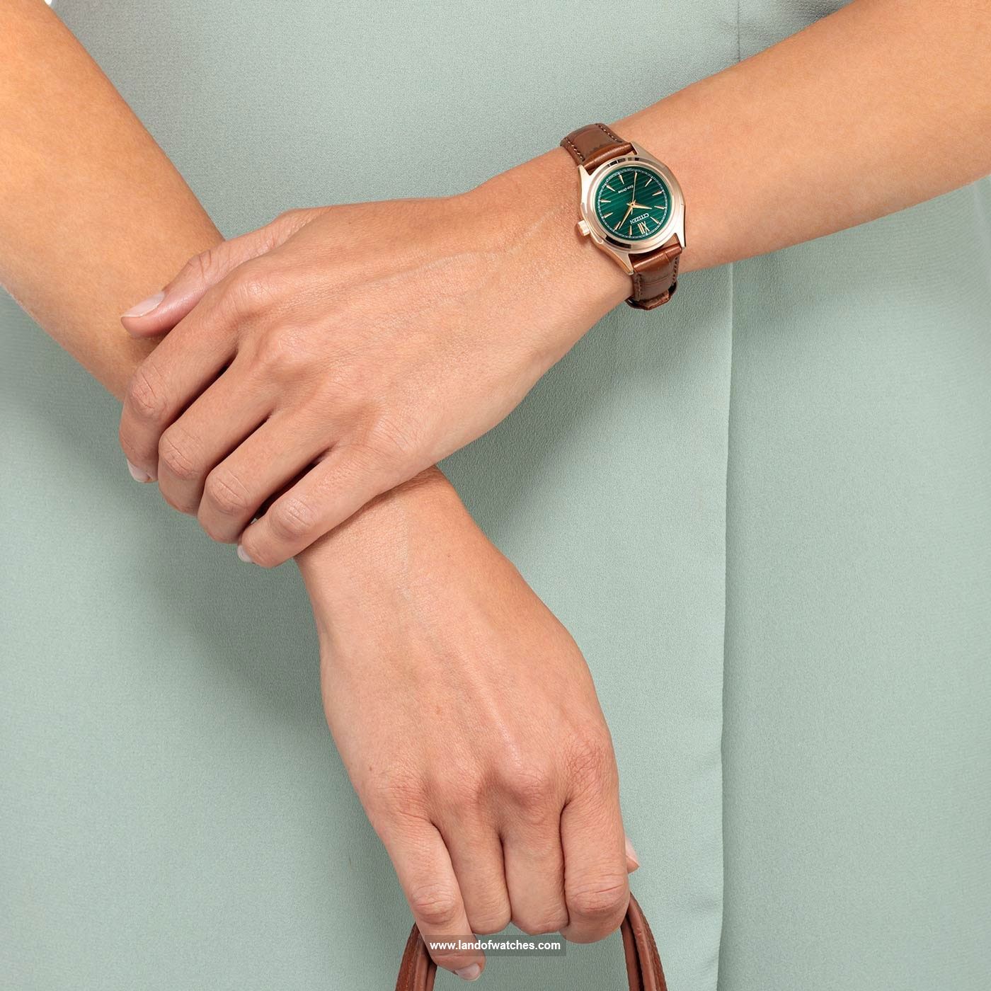 شراء ساعة معصم نسائیه سیتیزن(CITIZEN) FE2113-16X كلاسيك | | | الأصلي