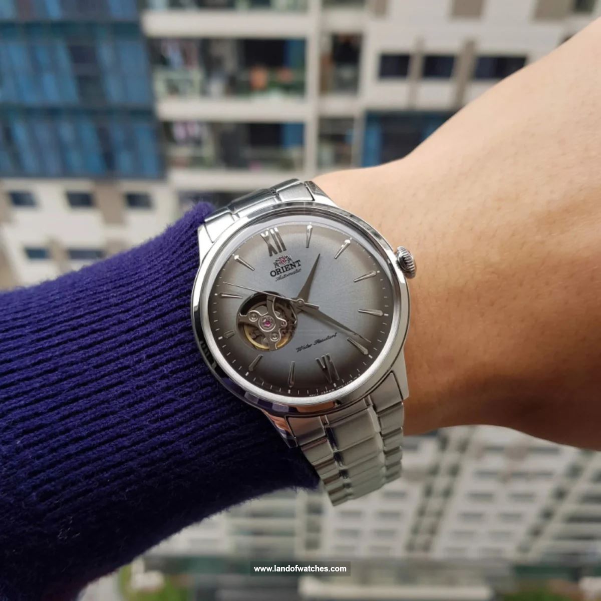 شراء ساعة معصم رجالیه اورینت(ORIENT) RA-AG0029 كلاسيك | | | الأصلي