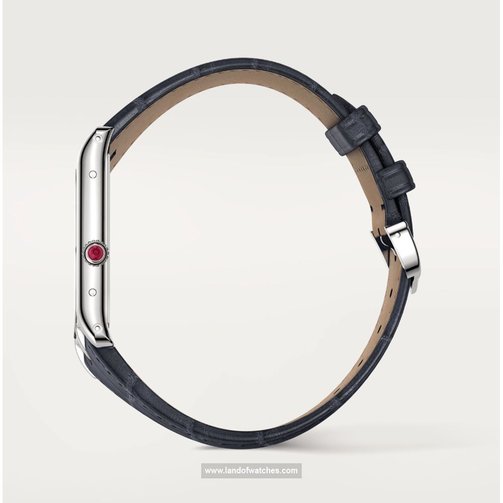 شراء ساعة معصم کارتیر(CARTIER) CRWGTA0042 | | | الأصلي