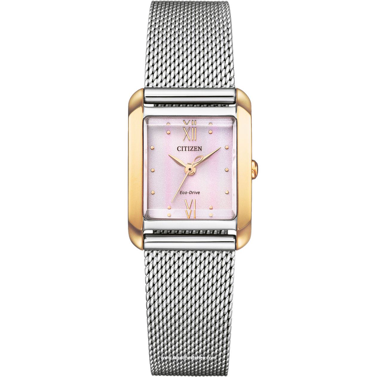 Buy Women's CITIZEN EW5596-66X Classic Watches | Original