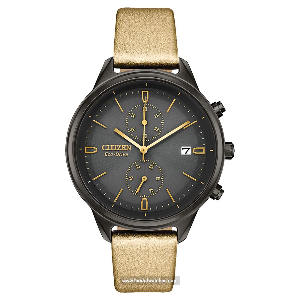 Buy CITIZEN FB2007-04H Watches | Original