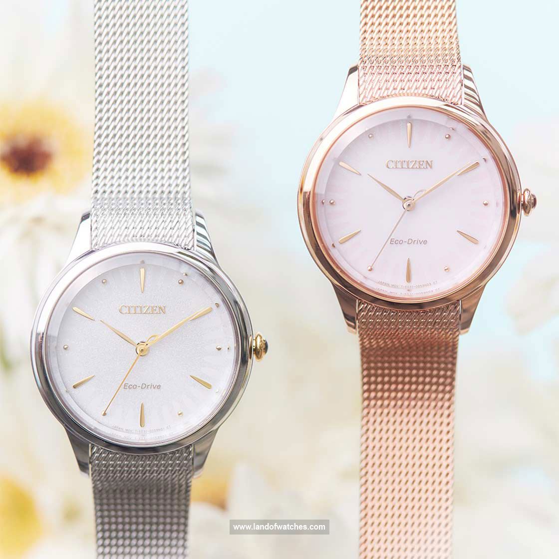 Buy Women's CITIZEN EM0819-80X Classic Watches | Original