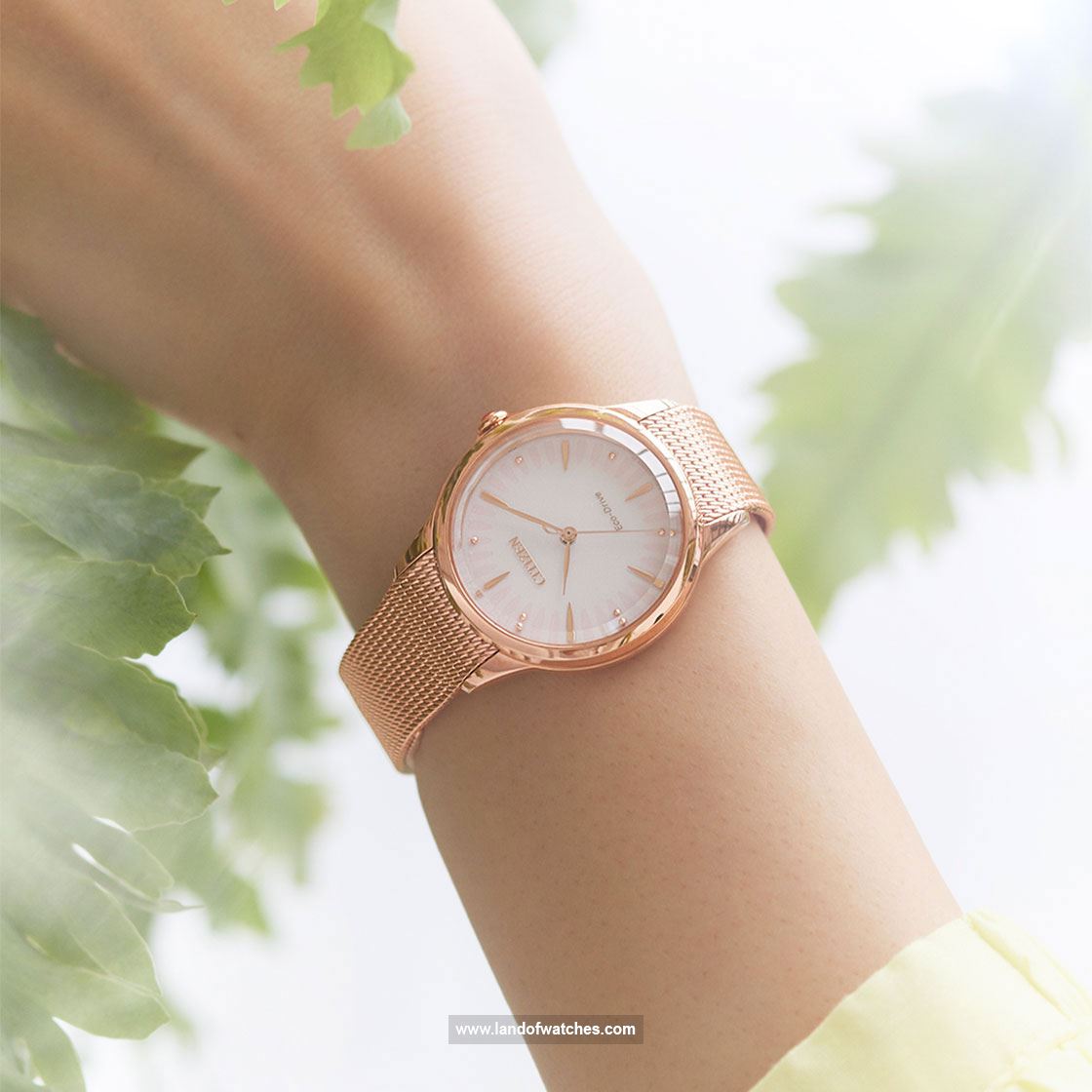 Buy Women's CITIZEN EM0819-80X Classic Watches | Original