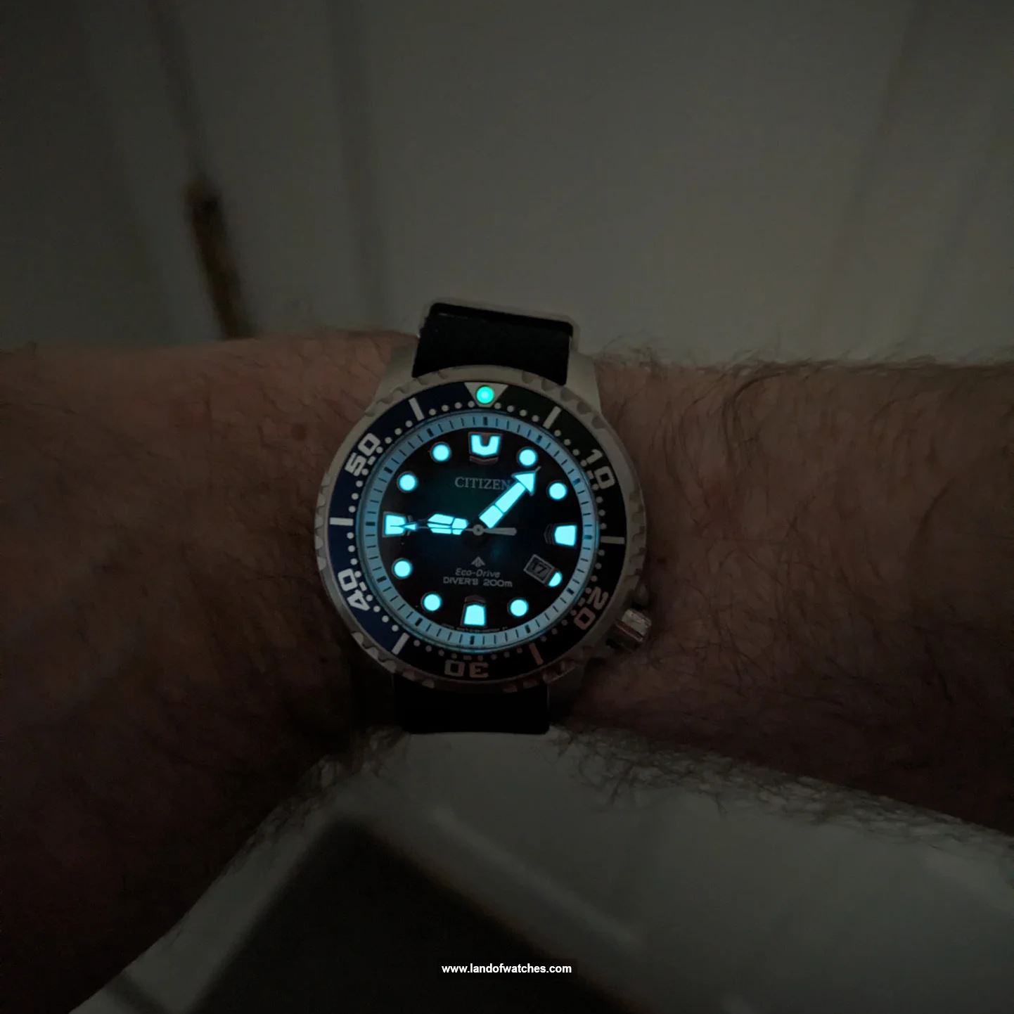 Buy Men's CITIZEN BN0166-01L Sport Watches | Original