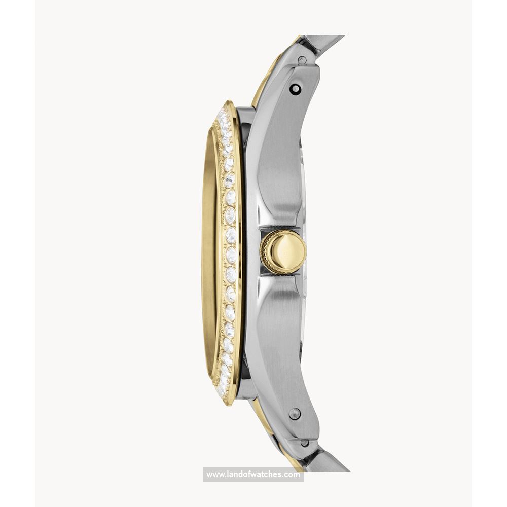 شراء ساعة معصم نسائیه فسیل(FOSSIL) ES3204 كلاسيك موضه | | | الأصلي