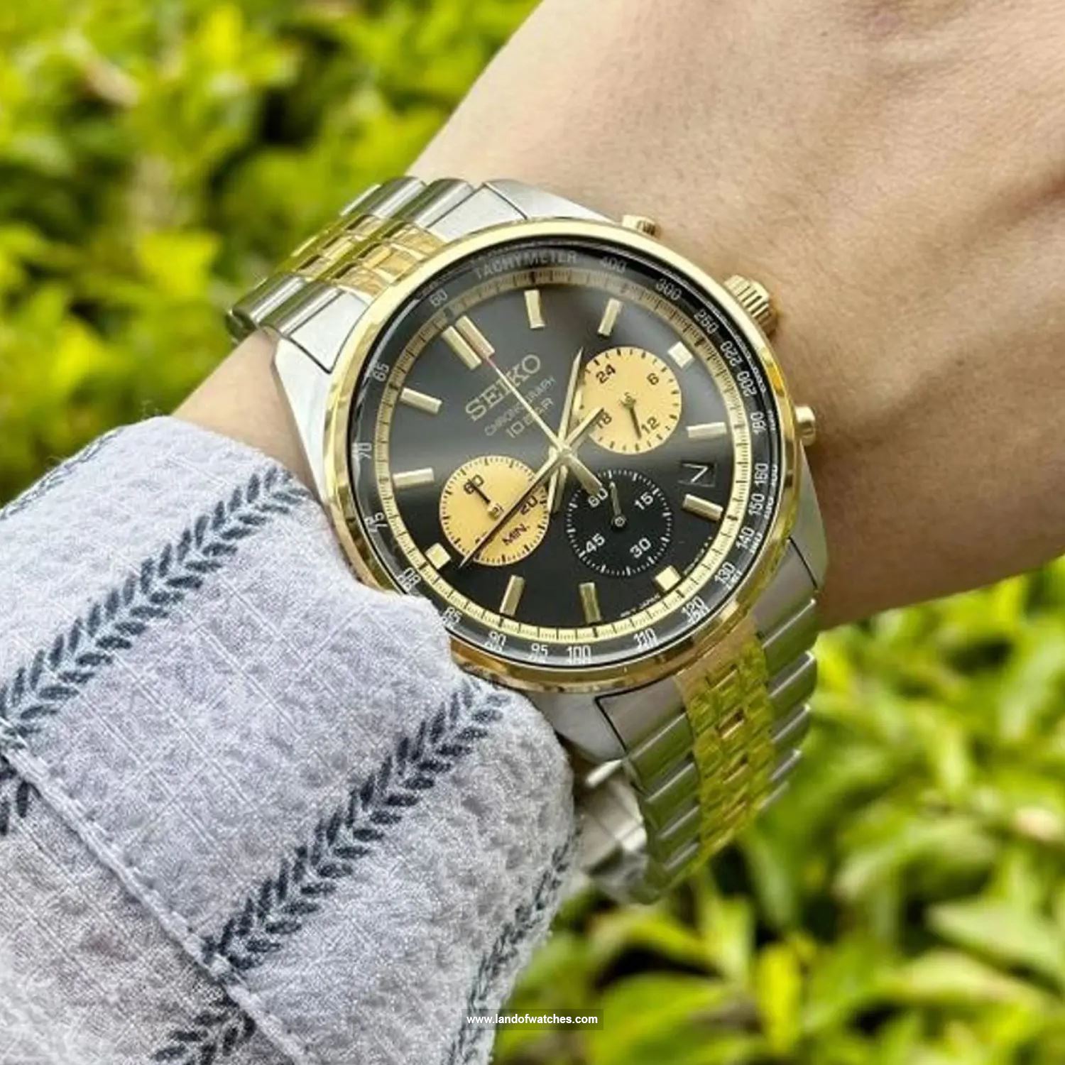 Buy Men's SEIKO SSB430P1 Classic Watches | Original