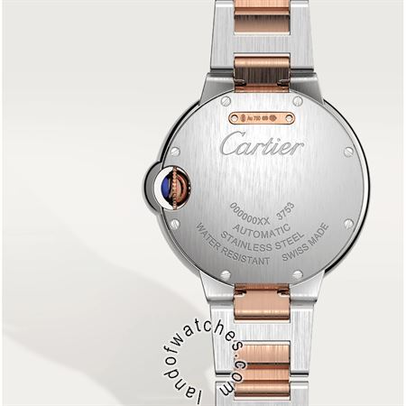 Buy CARTIER CRW2BB0023 Watches | Original