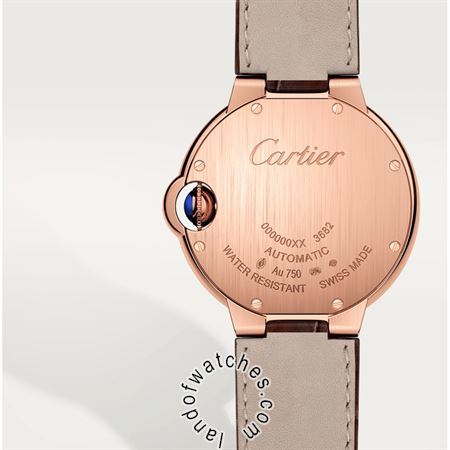 Buy CARTIER CRW6920097 Watches | Original