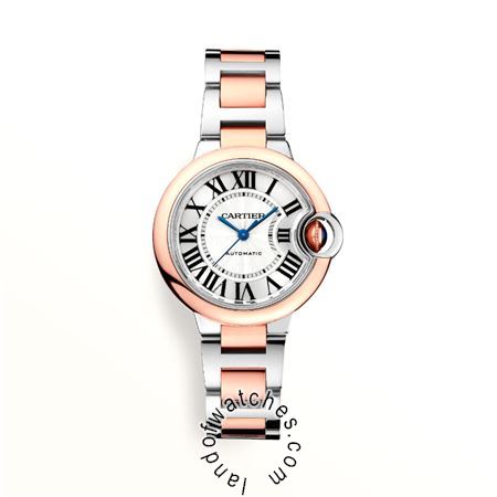 Buy CARTIER CRW2BB0023 Watches | Original