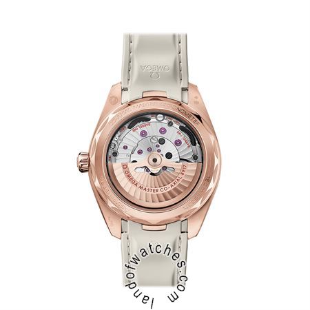 Buy OMEGA 220.52.41.21.02.001 Watches | Original