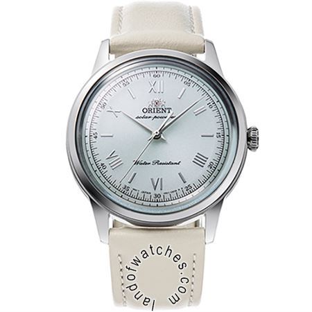 Watches Men's Classic Watches