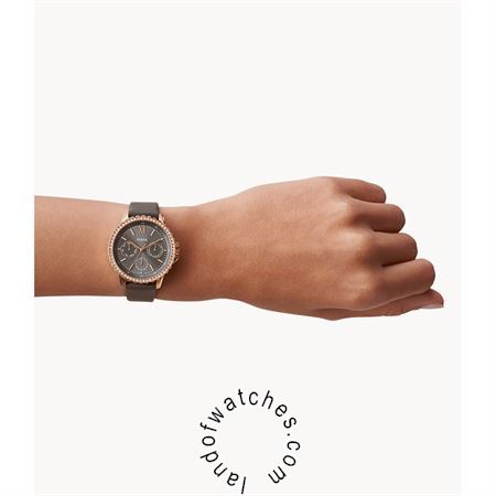 Buy Women's FOSSIL ES4889 Fashion Watches | Original