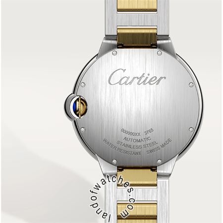 Buy CARTIER CRW2BB0031 Watches | Original